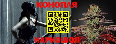 индика Коммунар
